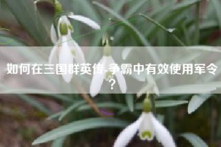 如何在三国群英传-争霸中有效使用军令？