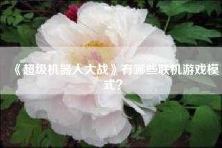 《超级机器人大战》有哪些联机游戏模式？