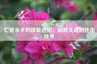 亡灵杀手的技能连招：制胜关键的连击技术