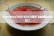 宝宝当店长特殊宝物的属性如何影响游戏？