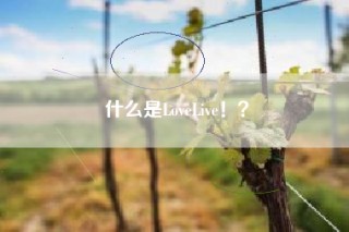 什么是LoveLive！？