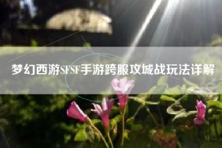 梦幻西游SFSF手游跨服攻城战玩法详解