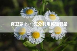 保卫萝卜2：充分利用英雄装备