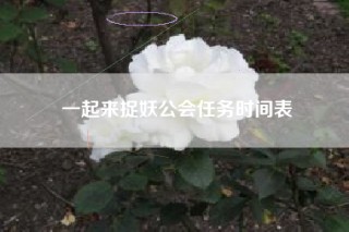一起来捉妖公会任务时间表