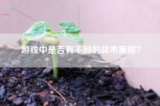 游戏中是否有不同的战术策略？