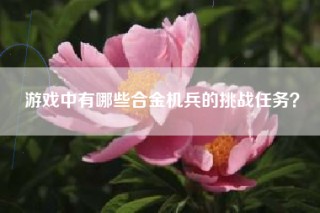 游戏中有哪些合金机兵的挑战任务？