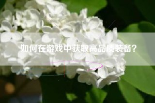 如何在游戏中获取高品质装备？