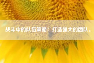 战斗中的队伍策略：打造强大的团队。