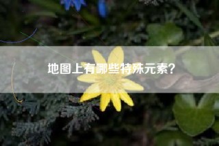 地图上有哪些特殊元素？
