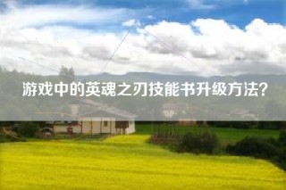 游戏中的英魂之刃技能书升级方法？