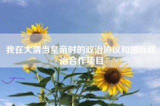 我在大清当皇帝时的政治协议和国际政治合作项目