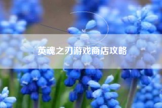 英魂之刃游戏商店攻略