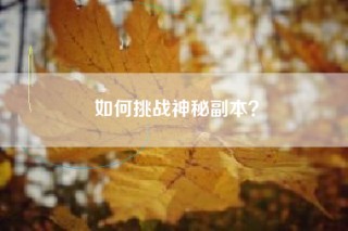 如何挑战神秘副本？