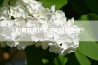 如何获取稀有的宠物和坐骑？