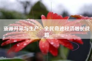 资源开采与生产：全民奇迹经济增长战略