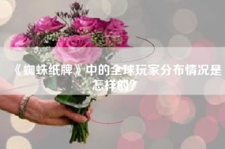 《蜘蛛纸牌》中的全球玩家分布情况是怎样的？