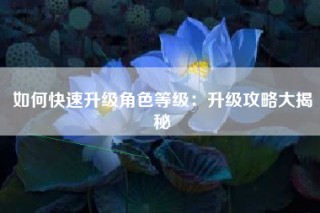 如何快速升级角色等级：升级攻略大揭秘