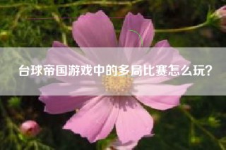 台球帝国游戏中的多局比赛怎么玩？