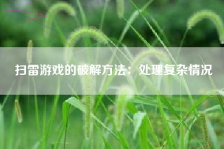 扫雷游戏的破解方法：处理复杂情况