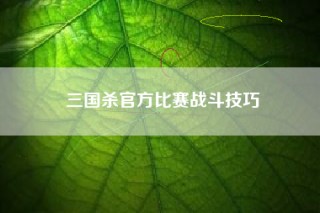 三国杀官方比赛战斗技巧