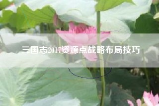 三国志2017资源点战略布局技巧