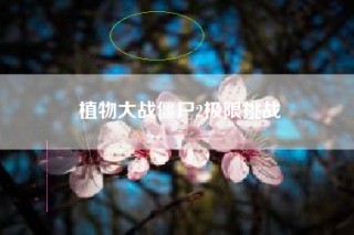 植物大战僵尸2极限挑战