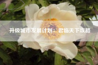 升级城市发展计划：君临天下攻略