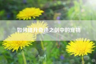 如何提升奇迹之剑中的宠物