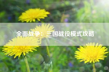 全面战争：三国战役模式攻略  第1张
