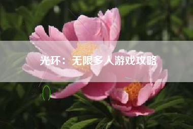 光环：无限多人游戏攻略  第1张