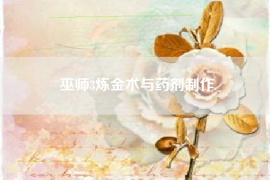 巫师3炼金术与药剂制作  第1张