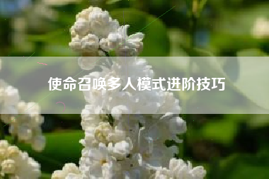 使命召唤多人模式进阶技巧  第1张
