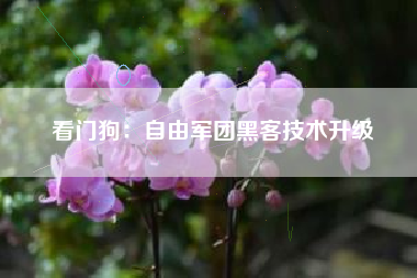 看门狗：自由军团黑客技术升级  第1张