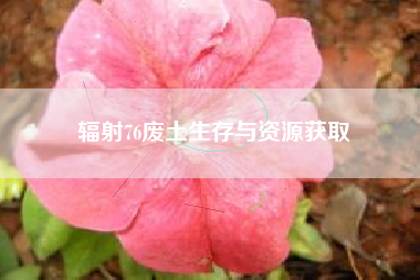 辐射76废土生存与资源获取  第1张