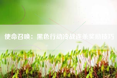使命召唤：黑色行动冷战连杀奖励技巧  第1张