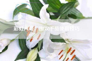 彩虹六号：围攻干员使用技巧  第1张