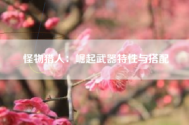 怪物猎人：崛起武器特性与搭配  第1张
