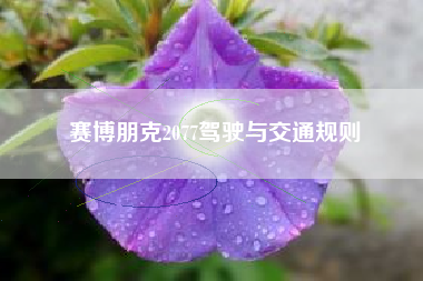 赛博朋克2077驾驶与交通规则  第1张