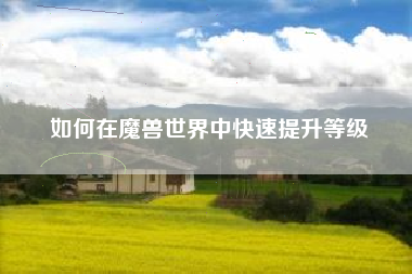 如何在魔兽世界中快速提升等级  第1张