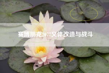 赛博朋克2077义体改造与战斗  第1张