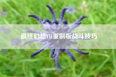 最终幻想VII重制版战斗技巧  第1张