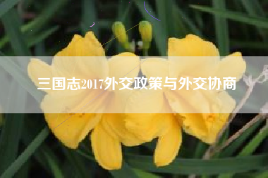三国志2017外交政策与外交协商  第1张