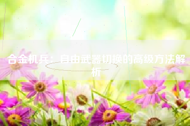 合金机兵：自由武器切换的高级方法解析  第1张