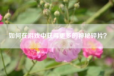 如何在游戏中获得更多的神秘碎片？  第1张
