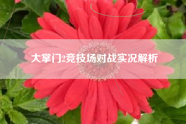 大掌门2竞技场对战实况解析  第1张