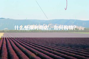 什么是限时商店，如何购物？  第1张
