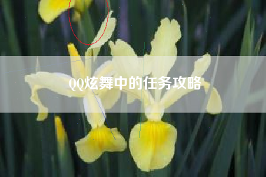 QQ炫舞中的任务攻略  第1张