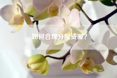 如何合理分配资源？  第1张