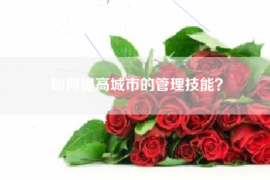 如何提高城市的管理技能？  第1张