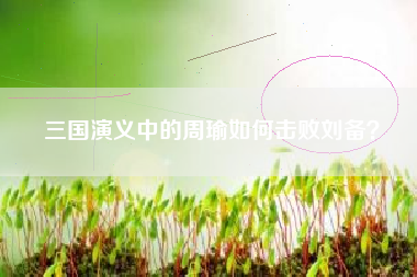 三国演义中的周瑜如何击败刘备？  第1张